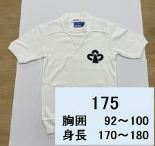 体操服　sporlesh　半袖　175cm　校章あり　EE1350